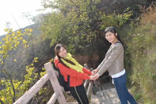 ���ݾW(w��ng)վ���O����