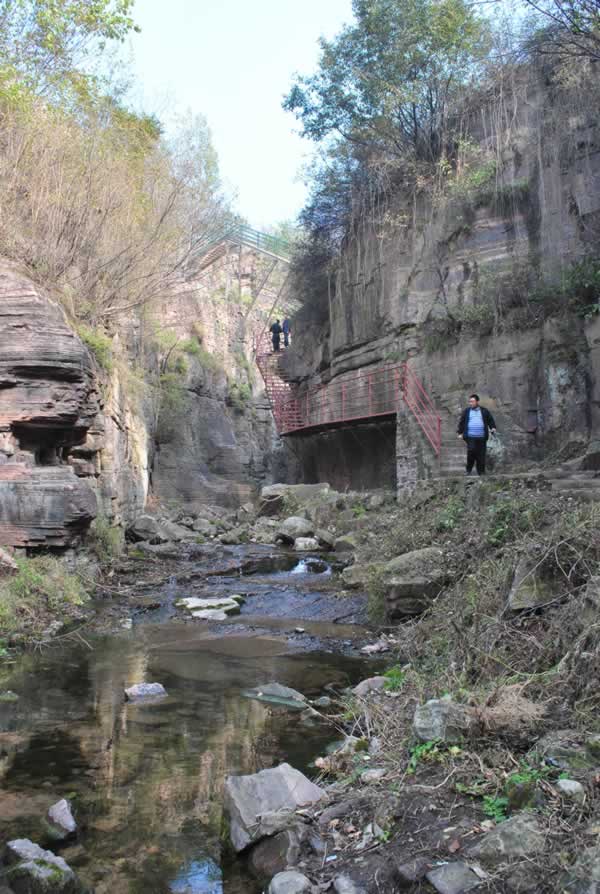 �fƼ���L���^(q��)