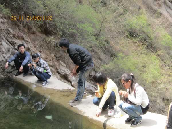 �p���{֮��c(di��n)