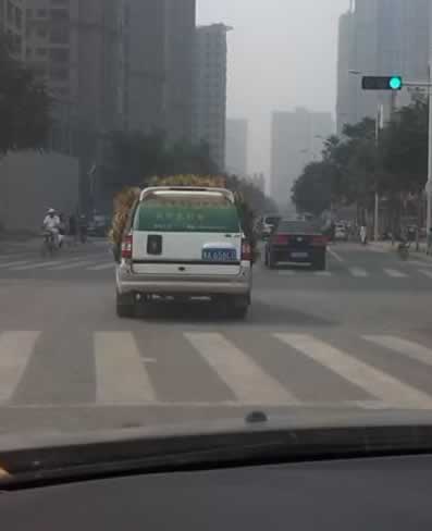 һ��(g��)���L(f��ng)�ľGɫ܇(ch��)