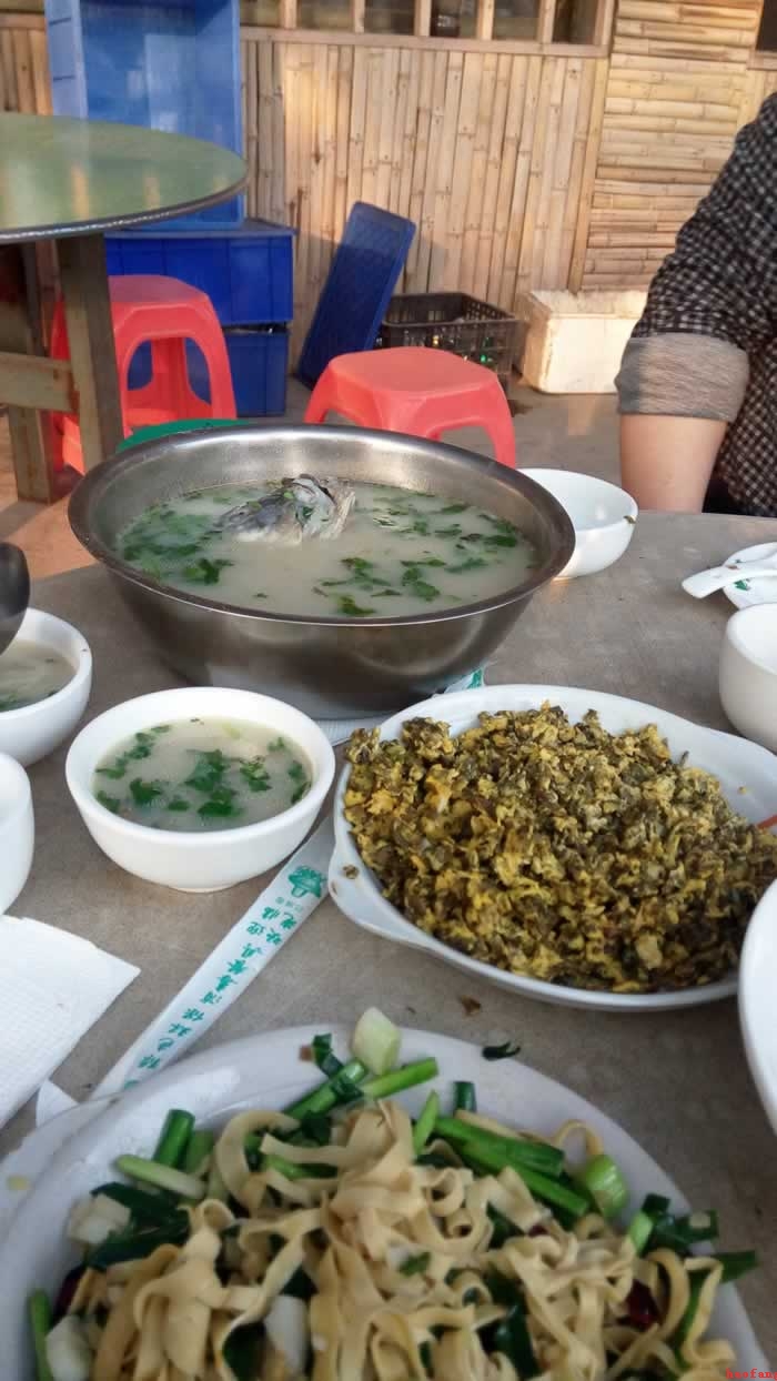 �W(w��ng)վ���O�Ͳͭh(hu��n)��