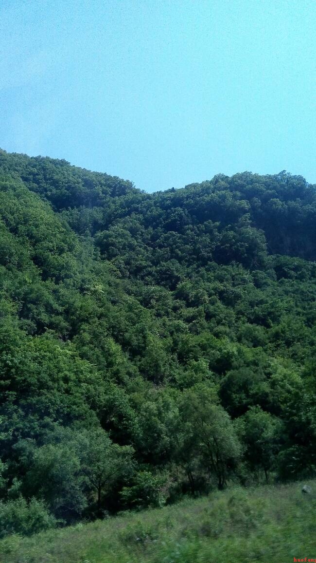 ������ɽɫ