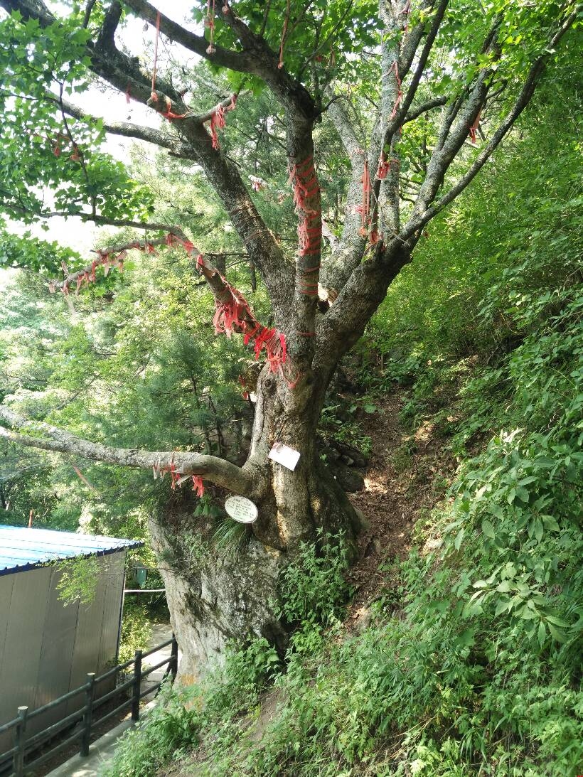 ��ɽ֮�ϵľW(w��ng)վ���O(sh��)֮��